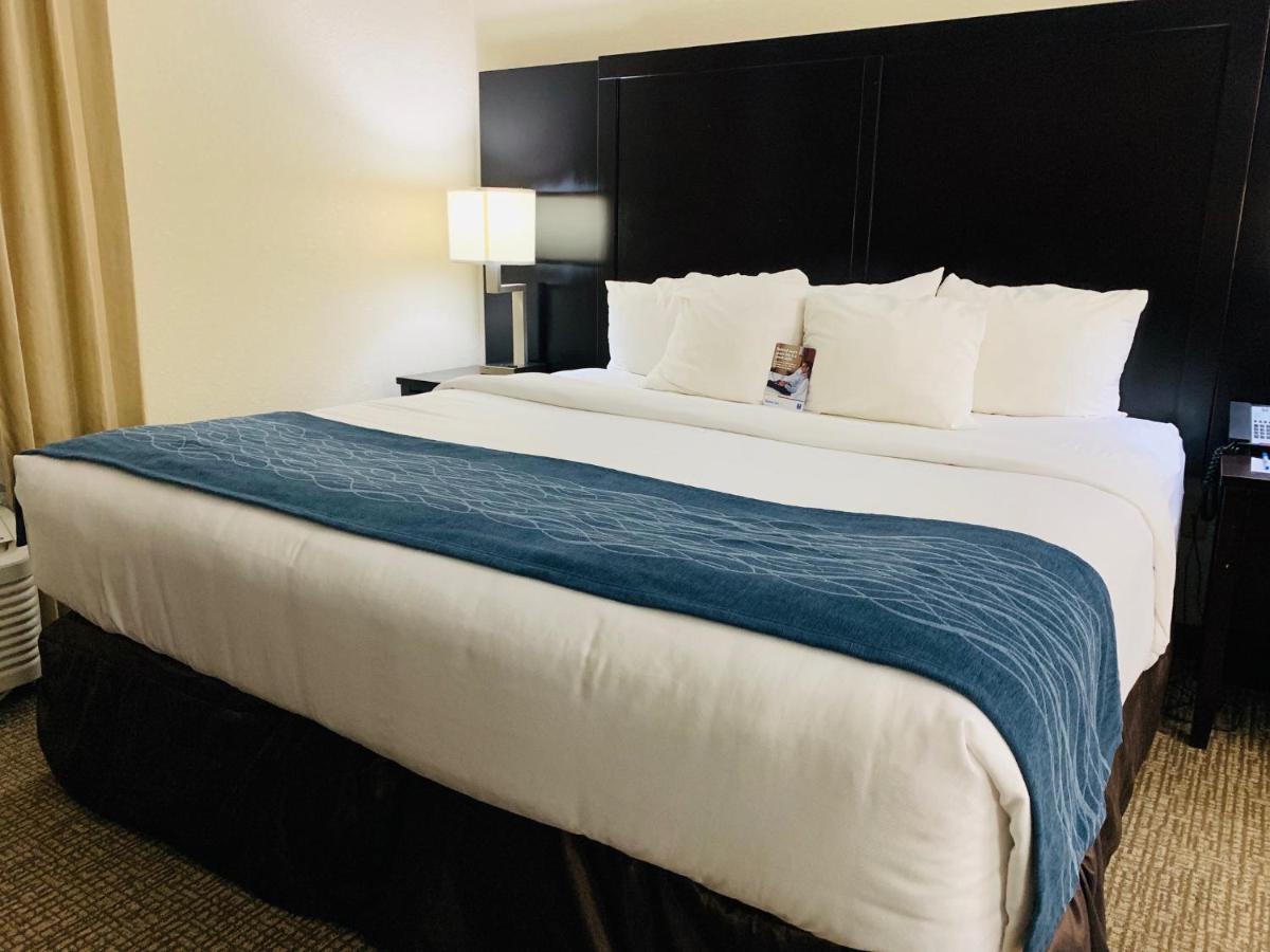 Comfort Inn & Suites Atlanta-Smyrna Bagian luar foto